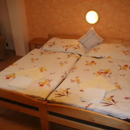 Hotel Chebsky Dvur - Egerlander Hof