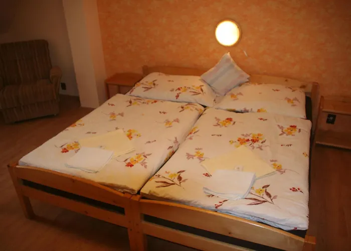 Hotel Chebsky Dvur - Egerlander Hof