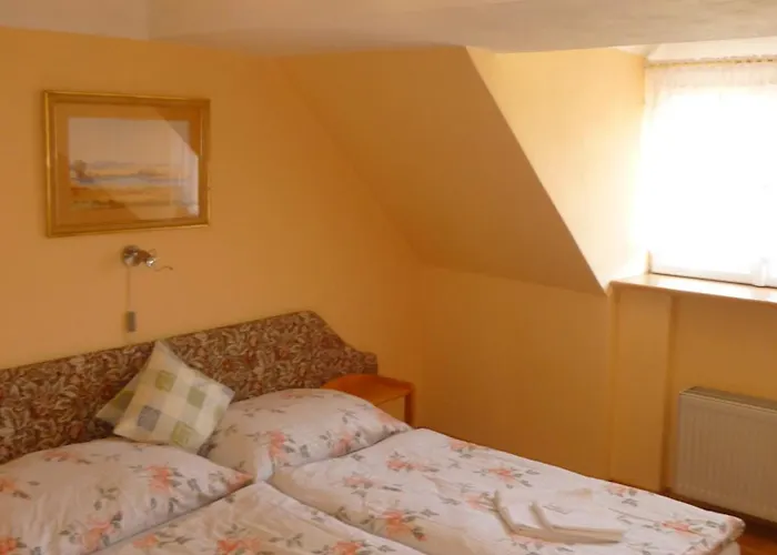 Chebsky Dvur - Egerlander Hof Karlovy Vary